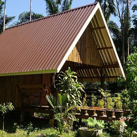 Khao Sok Jungle Resort Khao Sok National Park Habitación foto