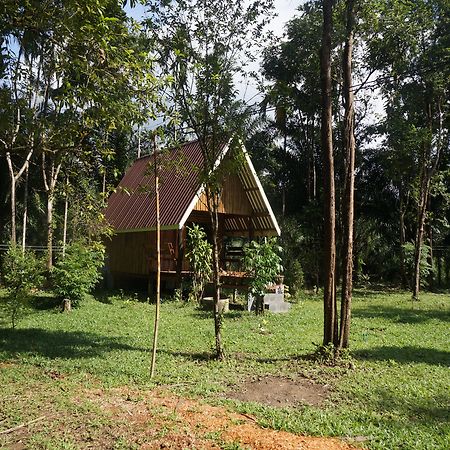 Khao Sok Jungle Resort Khao Sok National Park Exterior foto