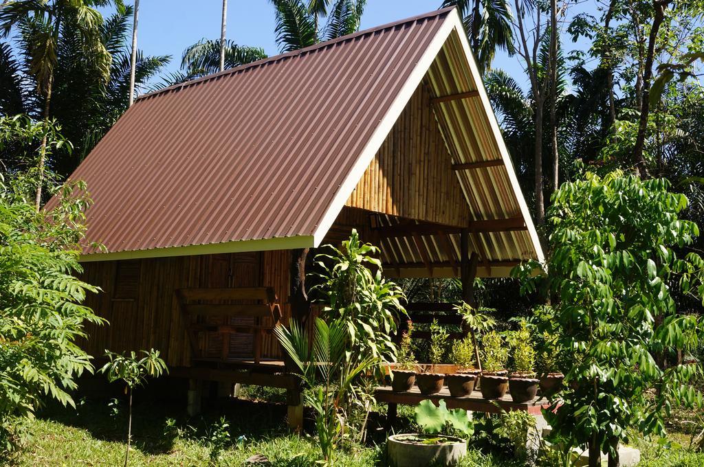 Khao Sok Jungle Resort Khao Sok National Park Habitación foto
