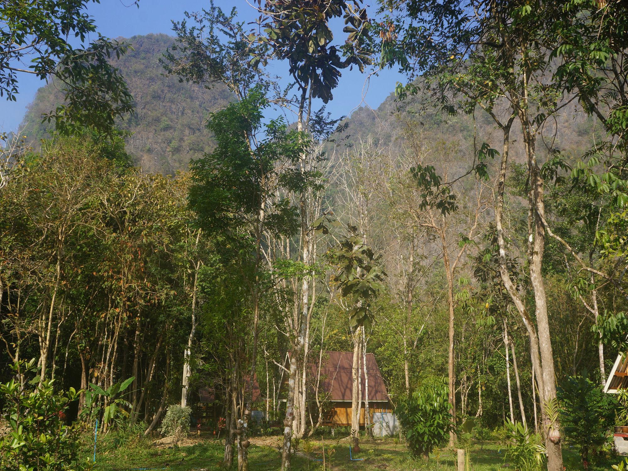 Khao Sok Jungle Resort Khao Sok National Park Exterior foto