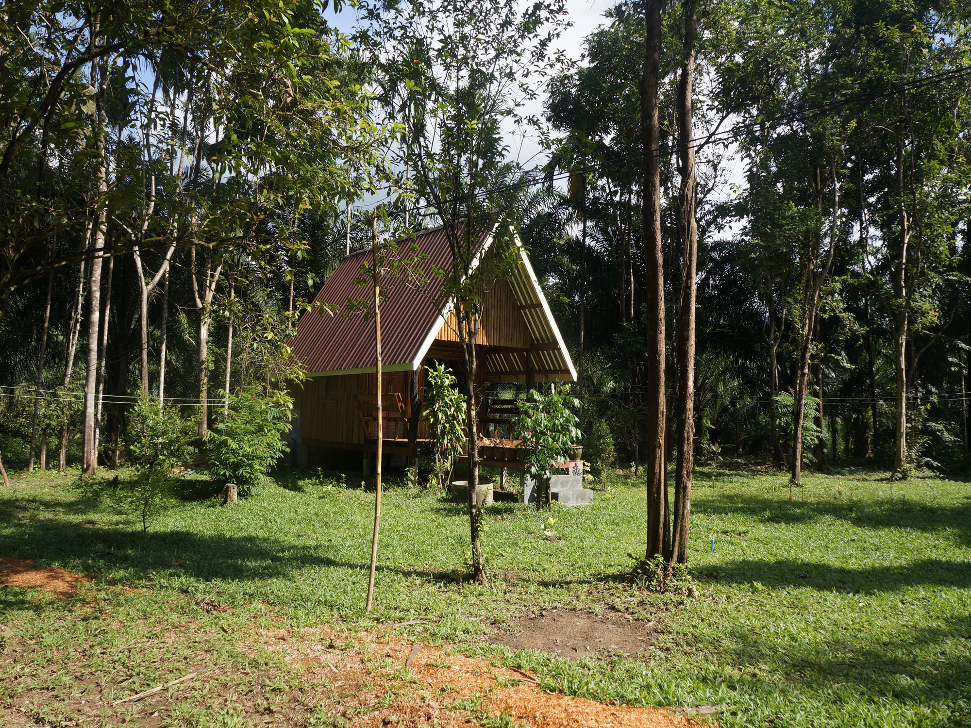 Khao Sok Jungle Resort Khao Sok National Park Exterior foto